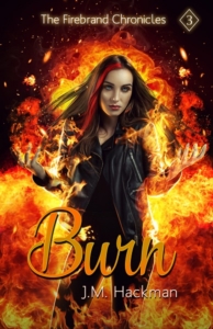 Burn - Book 3 of the Firebrand Chronicles